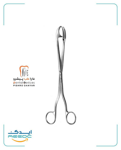 پنس چیتل دنتال دیوایس