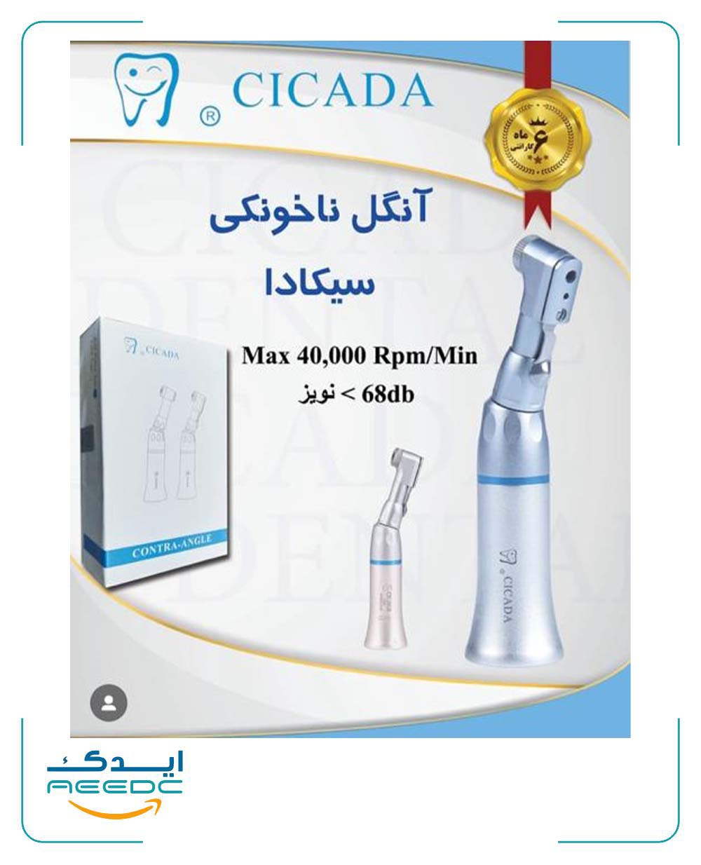 آنگل ناخونکی سیکادا
