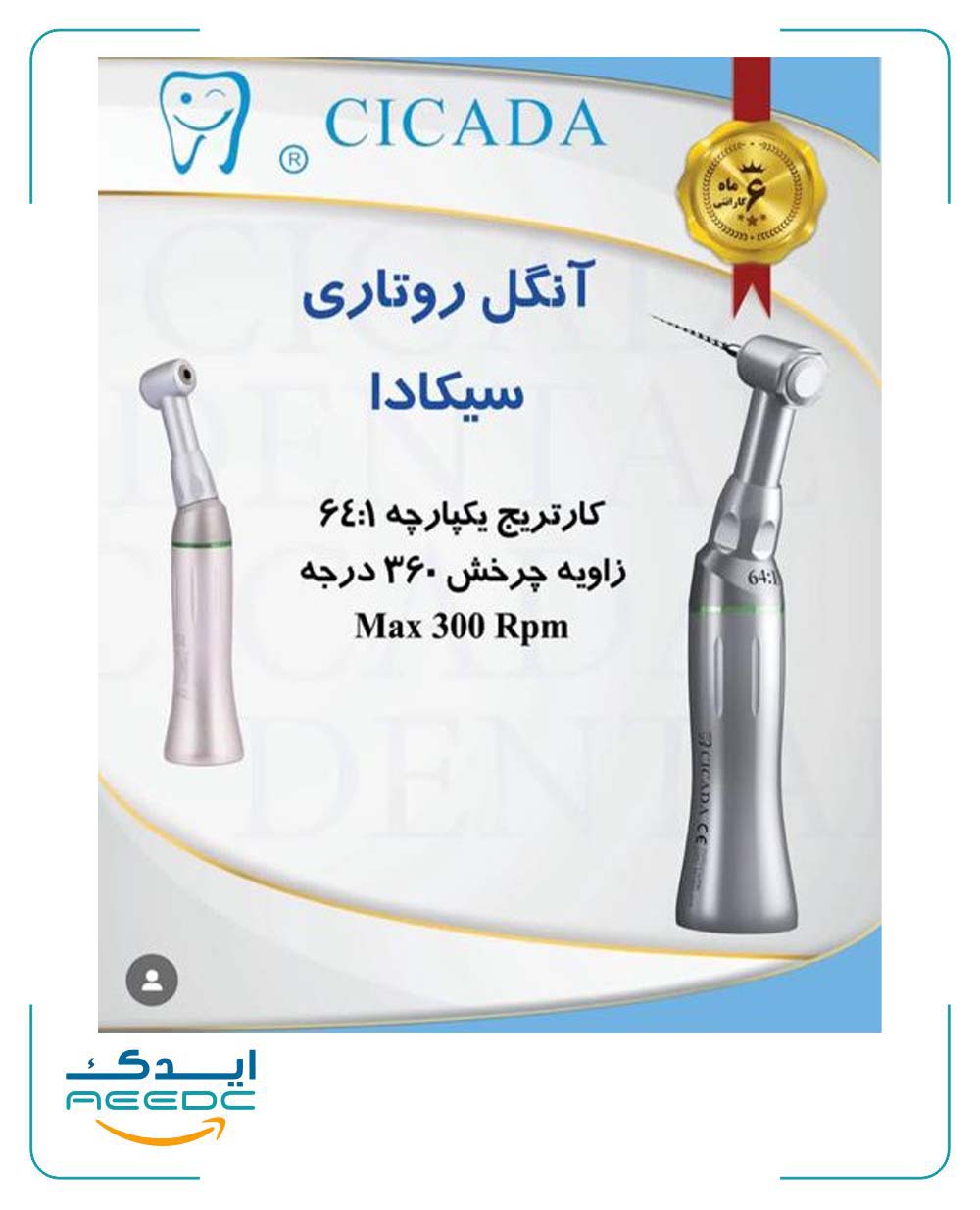 آنگل روتاری سیکادا