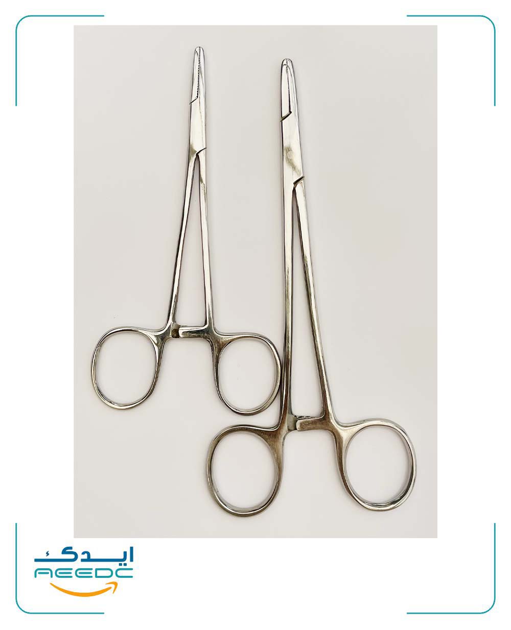 سوزنگیر کارنیک